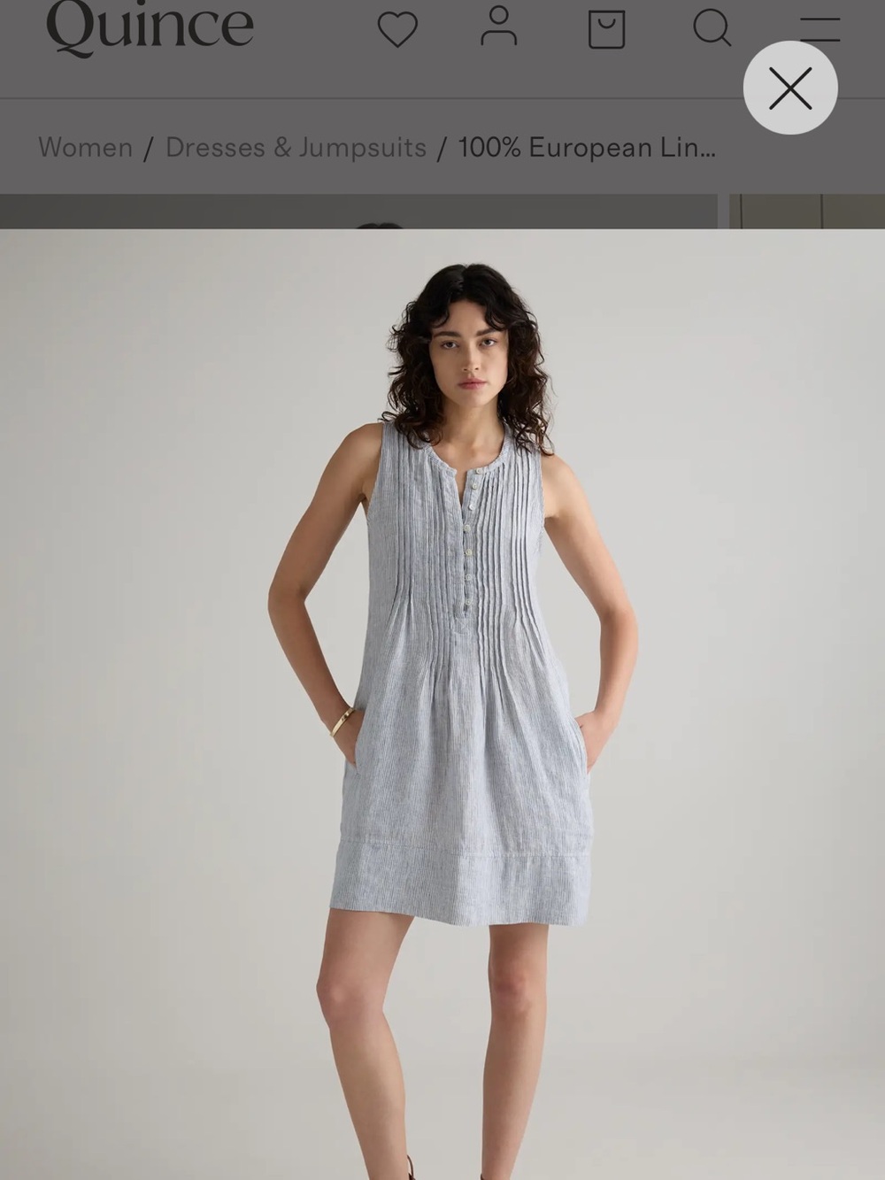 Quince 100% European Linen Sleeveless Swing Dress Small